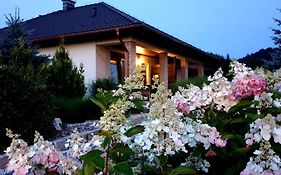 Tajemniczy Ogrod Szczytna - Bed & Breakfast